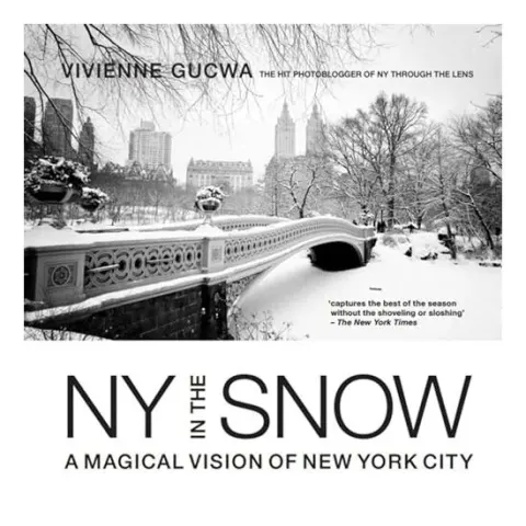 Coperta cărții New York in the Snow, Vivienne Gucwa