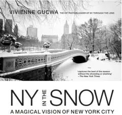 Coperta cărții New York in the Snow, Vivienne Gucwa