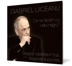 Coperta cărții Ce ne facem cu calul negru? (mp3)