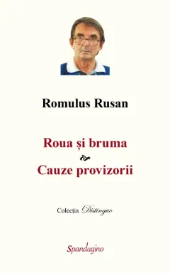 Coperta cărții Roua și bruma. Cauze provizorii