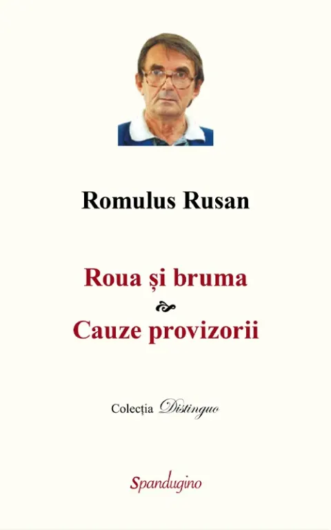 Coperta cărții Roua și bruma. Cauze provizorii