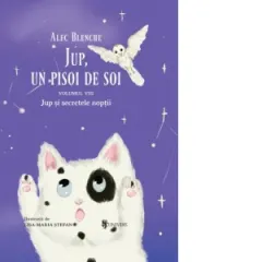 Coperta cărții Jup, un pisoi de soi. Volumul VIII: Jup si secretele noptii
