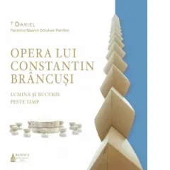 Coperta cărții Opera lui Constantin Brancusi. Lumina si bucurie peste timp