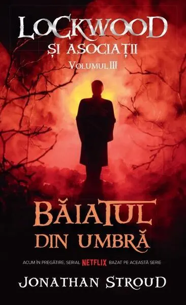 Coperta cărții Baiatul din umbra Vol.3 Seria Lockwood si Asociatii