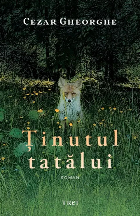 Coperta cărții Ținutul tatălui