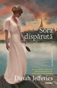 Coperta cărții Sora dispărută
