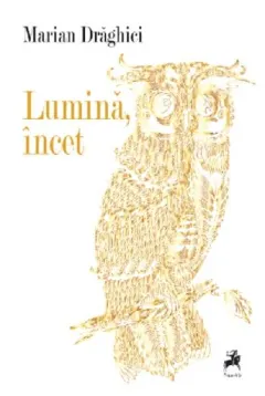 Coperta cărții Lumină, încet