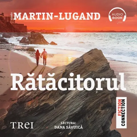 Coperta cărții Rătăcitorul (audiobook)