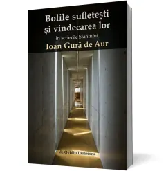 Coperta cărții Bolile sufletești și vindecarea lor în scrierile Sfântului Ioan Gură de Aur