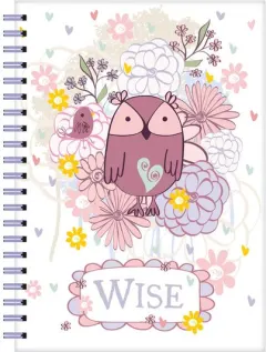 Coperta cărții Owl Love