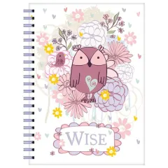 Coperta cărții Owl Love