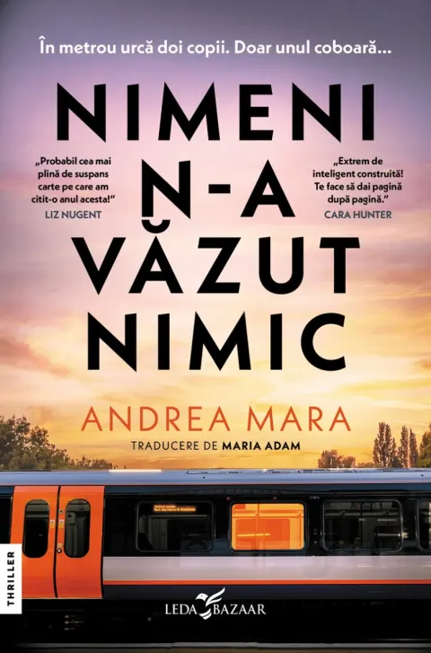 Coperta cărții Nimeni n-a văzut nimic