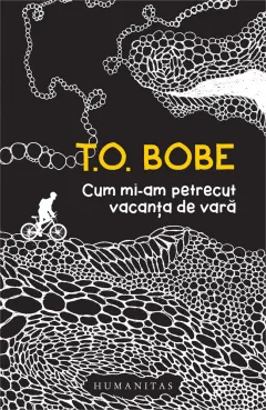 Coperta cărții Cum mi-am petrecut vacanța de vară