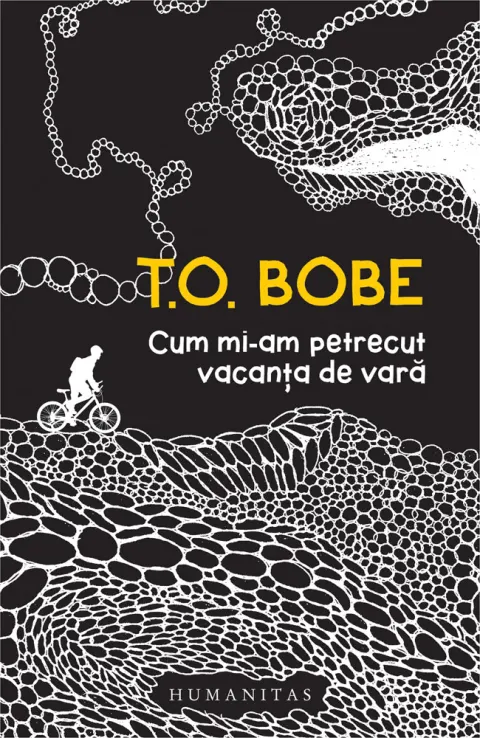 Coperta cărții Cum mi-am petrecut vacanța de vară