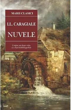 Coperta cărții Nuvele