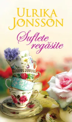 Coperta cărții Suflete regăsite