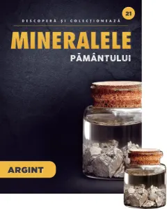 Coperta cărții Argint. Volumul 21. Mineralele Pamantului