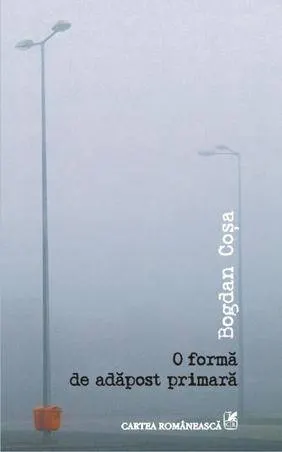 o-forma-de-adapost-primara