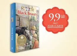 black_beauty_evz