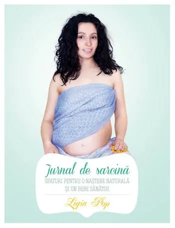 Jurnal de sarcina