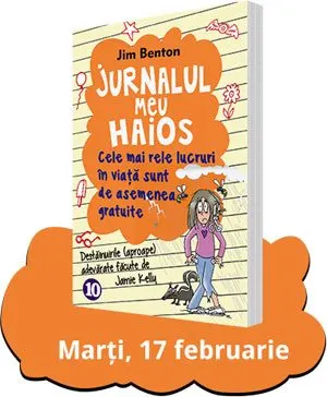 jurnalul-meu-haios-10