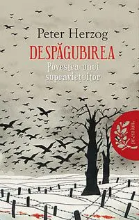 despagubirea-povestea-unui-supravietuitor