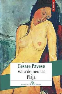 vara-de-neuitat-plaja