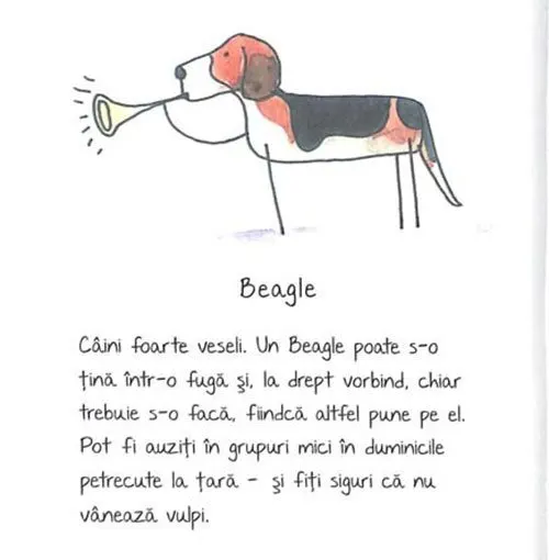 de-rasa-mic-compendiu-de-maniere-canine-6