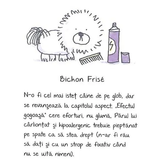 de-rasa-mic-compendiu-de-maniere-canine-7