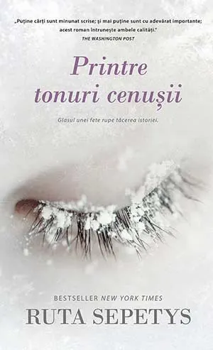 Printre tonuri cenușii