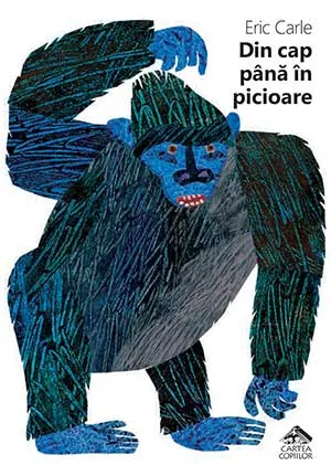 Din cap până în picioare