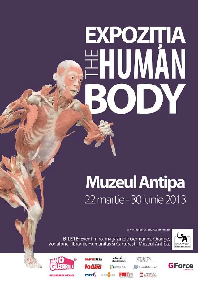 human_body
