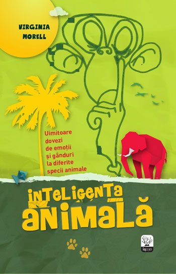 inteligenta_animala