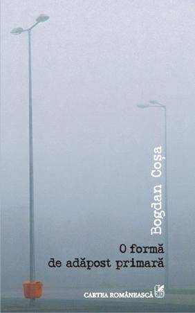 o-forma-de-adapost-primara