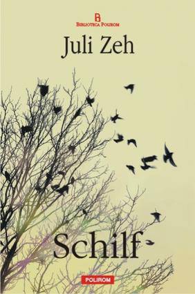 schilf