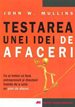 testarea-unei-idei-de-afaceri
