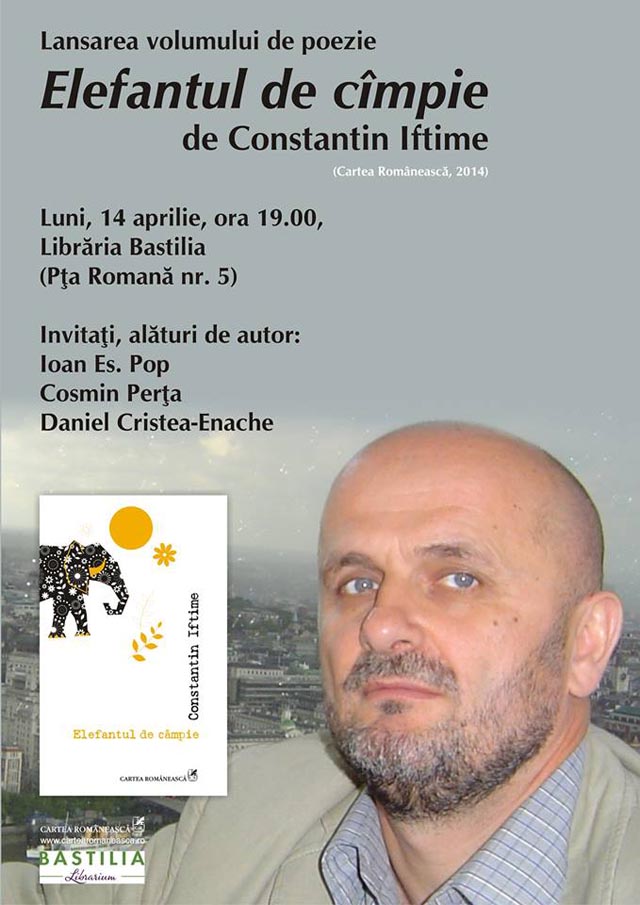 elefantul_de_cimpie