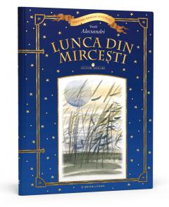 lunca-din-mircesti
