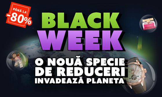 black-week-elefant