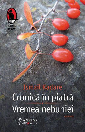 cronica-in-piatra-vremea-nebuniei