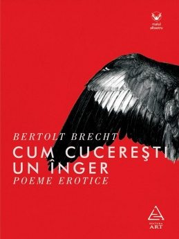 cum-cuceresti-un-inger