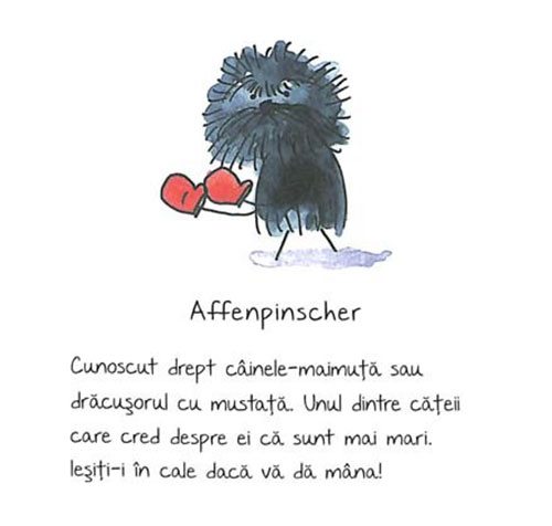 de-rasa-mic-compendiu-de-maniere-canine-1
