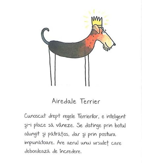 de-rasa-mic-compendiu-de-maniere-canine-2