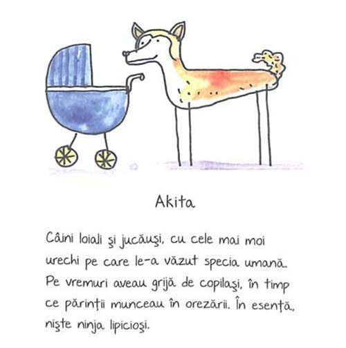 de-rasa-mic-compendiu-de-maniere-canine-3