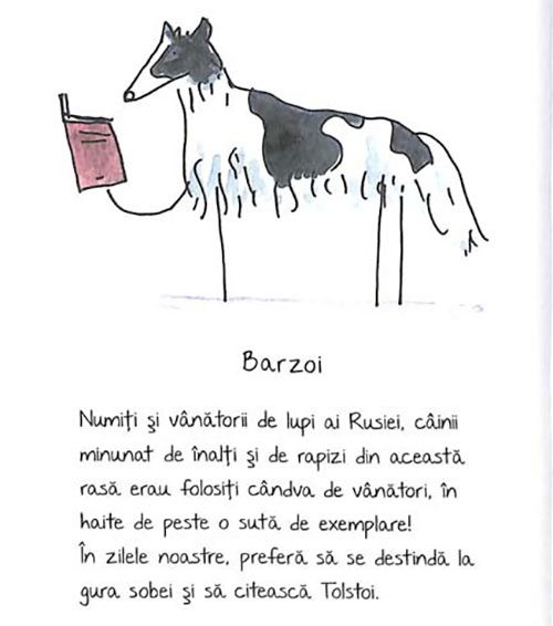 de-rasa-mic-compendiu-de-maniere-canine-4