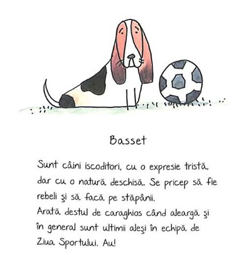 de-rasa-mic-compendiu-de-maniere-canine-5