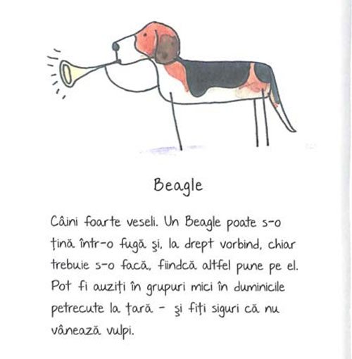 de-rasa-mic-compendiu-de-maniere-canine-6