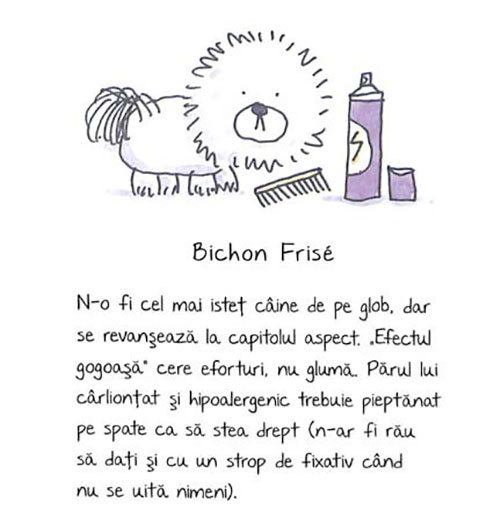 de-rasa-mic-compendiu-de-maniere-canine-7