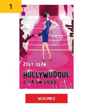produse-hollywood6