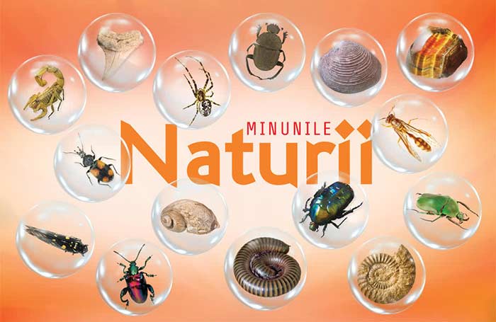 MINUNILE NATURII